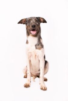 Matilda