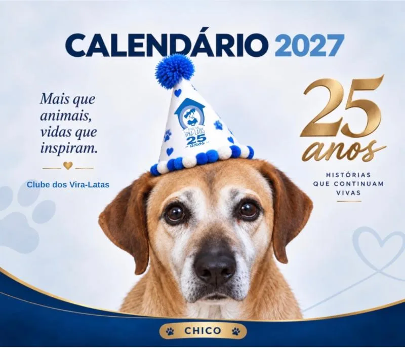 Capa do Calendário 2027 do Clube dos Vira-Latas, edição dos 25 anos, com o cão Chico de chapéu de festa