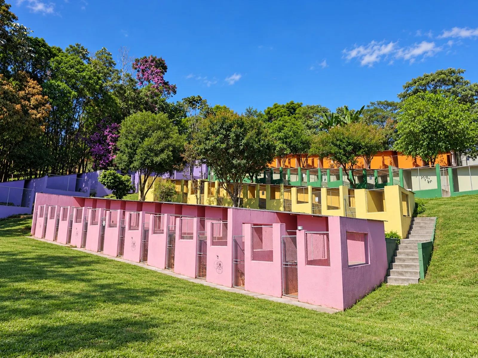 Sede do Clube dos Vira-Latas em Ribeirão Pires