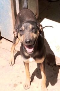 Benedita_